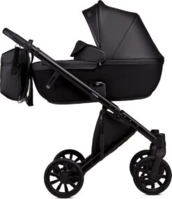 Anex E/type 2-in-1 Cross Kinderwagen - Noir -Winkel Voor Babyproducten 1036x1200 3