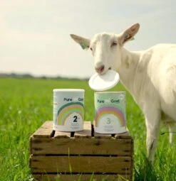 Pure Goat Company - Opvolgmelk 3 - Biologische Flesvoeding Op Basis Van Volle Geitenmelk - 800 Gram -Winkel Voor Babyproducten 1161x1200 7