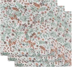 Jollein Hydrofiel Multidoek Snake 70x70cm - Ash Green - 3 Stuks -Winkel Voor Babyproducten 1200x1113 3