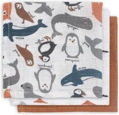 Jollein Baby Hydrofiel Washandje Polar - 3 Stuks -Winkel Voor Babyproducten 1200x1161 4