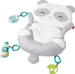 Fisher Price Allesinéén Pandaspeelmat -Winkel Voor Babyproducten 1200x1184 10