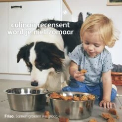 Friso 3 - Opvolgmelk - Vanaf 10 Maanden - 700g - Doos -Winkel Voor Babyproducten 1200x1200 1643