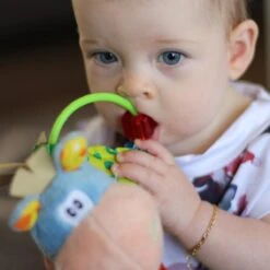 Playgro Clip Clop Rammelaar - Blauw - Activiteitenspeeltje - Kraamkado -Winkel Voor Babyproducten 1200x1200 2003