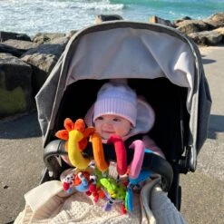 Playgro Boxspiraal Amazing Garden Twirly Whirly - Kinderwagen Speeltje - Activiteitenspiraal -Winkel Voor Babyproducten 1200x1200 2049