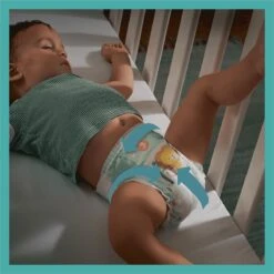 Pampers® Pampers Baby-Dry Maat 7 (15kg+) - 31 Luiers -Winkel Voor Babyproducten 1200x1200 281
