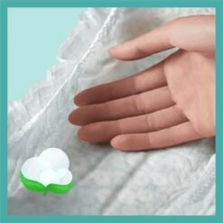 Pampers® Pampers Baby-Dry Maat 7 (15kg+) - 31 Luiers -Winkel Voor Babyproducten 1200x1200 284