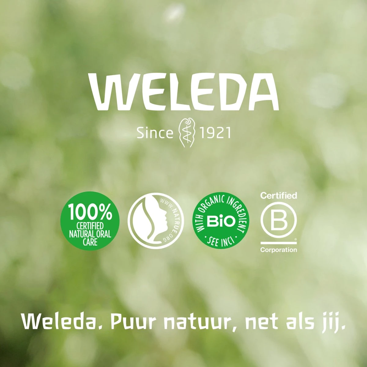 Weleda Baby Sensitive Witte Malva Gezichtscrème 7 Weleda Baby Sensitive Witte Malva Gezichtscrème - Afbeelding 5