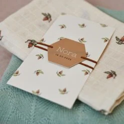 Jollein Hydrofiele Doek Small 70x70cm - Rosehip - 3 Stuks -Winkel Voor Babyproducten 1200x1200 895