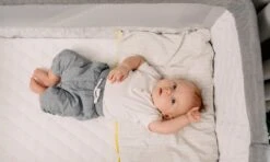 Lionelo Theo - Co-sleeper - 5-staps - Tot 9kg - 2in1 -Winkel Voor Babyproducten 1200x720