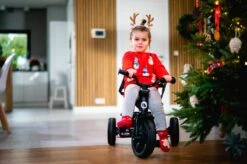 Lionelo Haari - Driewieler - Drankhouder - 2in1 - Tot 36+ -Winkel Voor Babyproducten 1200x799 97