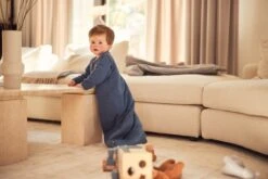 Jollein Baby Baby Winterslaapzak Met Afritsbare Mouw 90cm Basic Stripe - Rosewood 26 Jollein Baby Baby Winterslaapzak Met Afritsbare Mouw 90cm Basic Stripe - Rosewood -Winkel Voor Babyproducten 1200x800 112