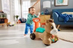 Fisher Price Fisher-Price Pony Loopvriendje - Looptrainer Baby - Bruin - Groen -Winkel Voor Babyproducten 1200x800 297