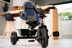 Lionelo Haari - Driewieler - Drankhouder - 2in1 - Tot 36+ -Winkel Voor Babyproducten 1200x800 434