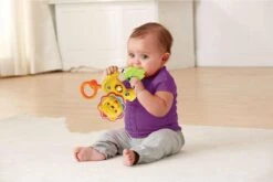 VTech Baby Brul & Speel Rammelaar - Educatief Babyspeelgoed - Bijtring - 3 Tot 24 Maanden -Winkel Voor Babyproducten 1200x801 27