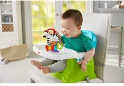 Fisher Price - Activity Zebra - Rammelaar - Speeltje En Bijtring - Grijpspeelgoed -Winkel Voor Babyproducten 1200x835 2