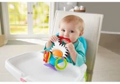 Fisher Price - Activity Zebra - Rammelaar - Speeltje En Bijtring - Grijpspeelgoed -Winkel Voor Babyproducten 1200x842 2
