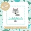 Zindelijkheidsbox - Jongen Editie - Zindelijkheidstraining Kind - Vanaf 2 Jaar - Incl Beloningssysteem - Gratis Online Support -Winkel Voor Babyproducten 1200x859