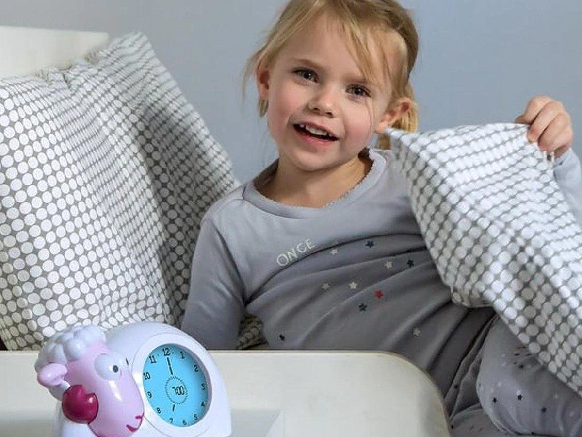 Merkloos Sam Slaaptrainer - Met Nachtlamp Functie En Slaaptimers - Roze / Wit 12 Merkloos Sam Slaaptrainer - Met Nachtlamp Functie En Slaaptimers - Roze / Wit - Afbeelding 10