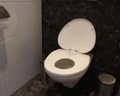 Merkloos Kinder Toiletbril, Toiletbril Verkleiner, Kinder Wc Bril, Kinder Toiletzitting, Familie Toiletbril Met Verkleiner Family Seat, 2 Toiletbrillen In 1, -Winkel Voor Babyproducten 1200x960 3