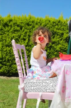 Babyjem Booster Chair Grey -Winkel Voor Babyproducten 789x1200 8