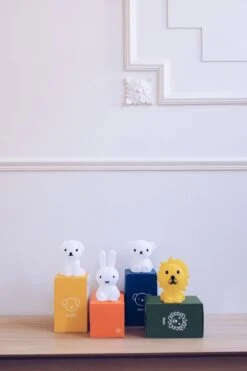 Mr. Maria Mr Maria - Boris Bundle Of Light - 10 Cm - LED Lamp - Wit 20 Mr. Maria Mr Maria - Boris Bundle Of Light - 10 Cm - LED Lamp - Wit -Winkel Voor Babyproducten 799x1200 41