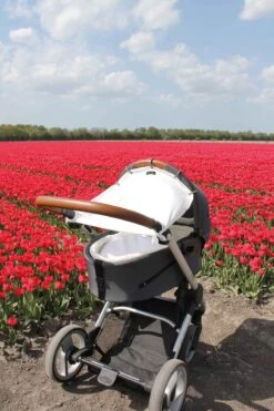 Dooky Universal Cover Zonnescherm Kinderwagen - Crème 16 Dooky Universal Cover Zonnescherm Kinderwagen - Crème -Winkel Voor Babyproducten 800x1200 314