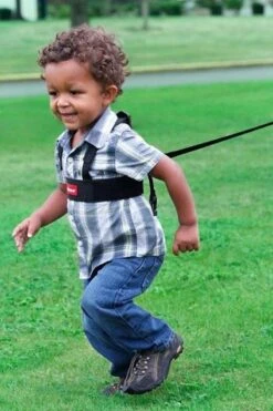 Diono - Sure Steps - Kindertuigje Met Looplijn - Looptuigje Voor Kinderen Van Ca. 1-4 Jaar -Winkel Voor Babyproducten 800x1200 360