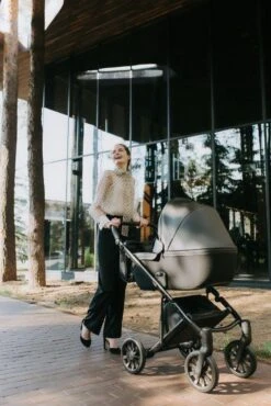 Anex E/type 2-in-1 Cross Kinderwagen - Noir -Winkel Voor Babyproducten 801x1200 85