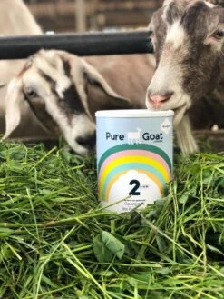 Pure Goat Company - Opvolgmelk 2 - Biologische Flesvoeding Op Basis Van Volle Geitenmelk - 800 Gram -Winkel Voor Babyproducten 900x1200 35
