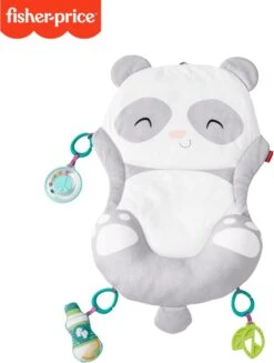 Fisher Price Allesinéén Pandaspeelmat -Winkel Voor Babyproducten 906x1200 4